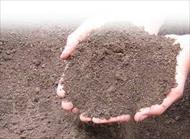 تحقیق بررسی اثر شوری آب بر خصوصیات ژئوتکنیکی خاک های ریزدانه